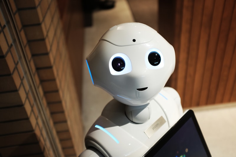 Humanoid robot