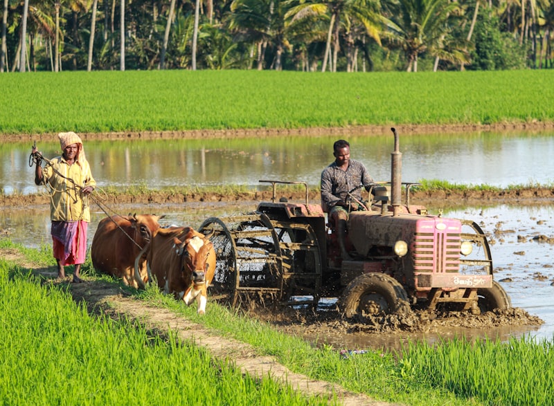 Precision agriculture